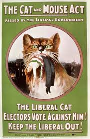 An Edwardian Propaganda Poster. The background is bright green. A large cat holds an unconscious suffragette in it's jaws. Large text reads 'The Cat and Mouse Act'. Smaller text reads 'Passed by the Liberal Government. The Liberal Cat. Electors Vote Against Him! Keep the Liberal Out!'
